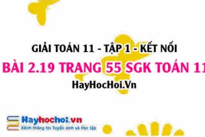 Giải bài 2.19 trang 55 Toán 11 tập 1 SGK Kết nối tri thức
